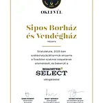 Pensionat Sipos Borhaz Es Vendeghaz Badacsonyörs