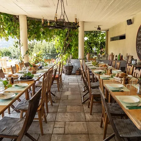 Sipos Borhaz Es Vendeghaz