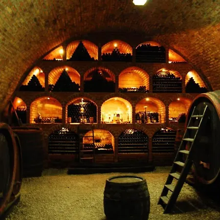 Penzion Sipos Borhaz Es Vendeghaz