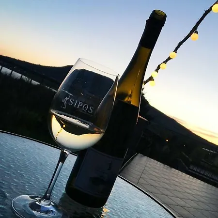 Penzion Sipos Borhaz Es Vendeghaz Badacsonyörs