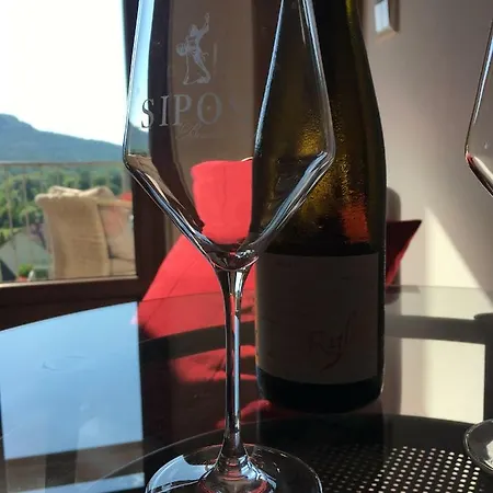 Penzion Sipos Borhaz Es Vendeghaz