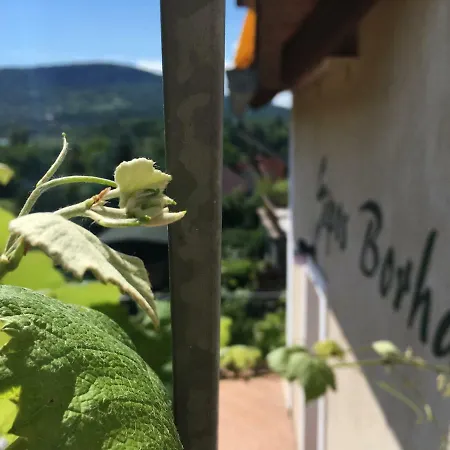 Guest house Sipos Borhaz Es Vendeghaz *