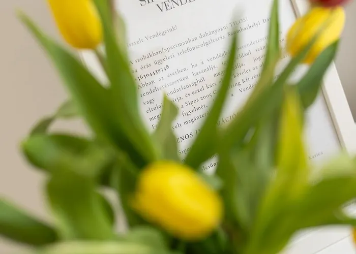 Sipos Borház és Badacsonyörs