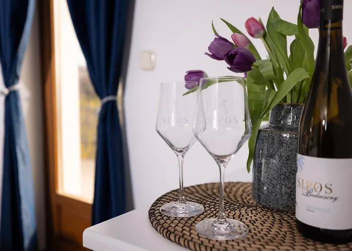 Casa de hóspedes Sipos Borház és 3*