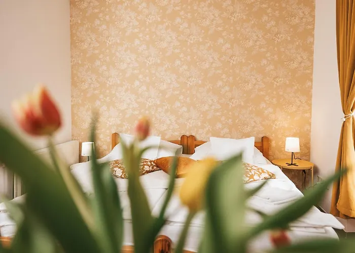 Sipos Borház és 3* Badacsonyörs