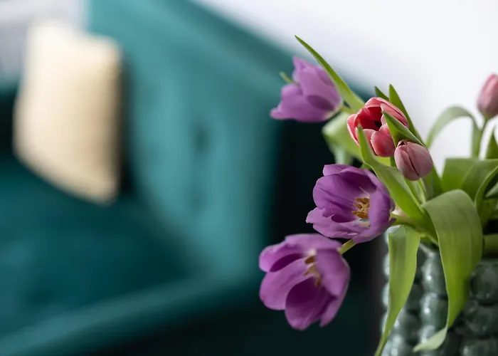 Casa de hóspedes Sipos Borház és Badacsonyörs