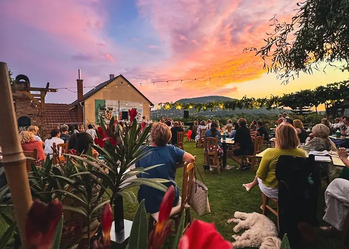 Pensionat Sipos Borhaz Es Vendeghaz 3*