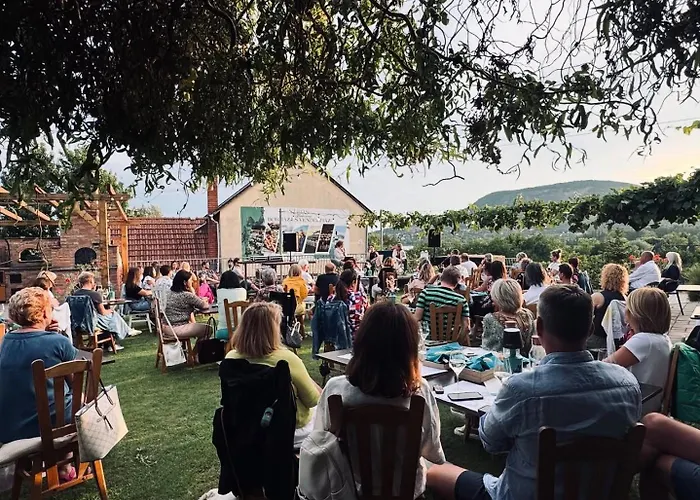 Casa de hóspedes Sipos Borház és